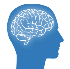 brain illustration